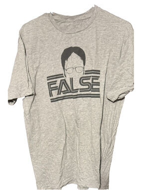 The Office Dwight Schrute T Shirt Gray Men's Size L